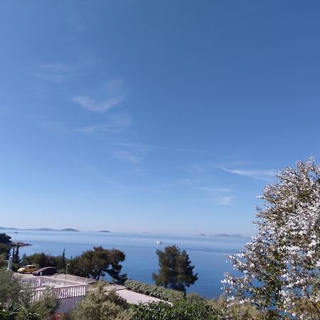Amazing Villa Galeb In Murter Habitación foto